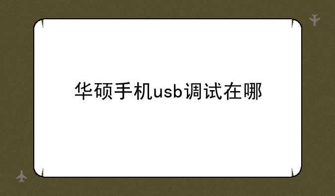 华硕手机usb调试在哪