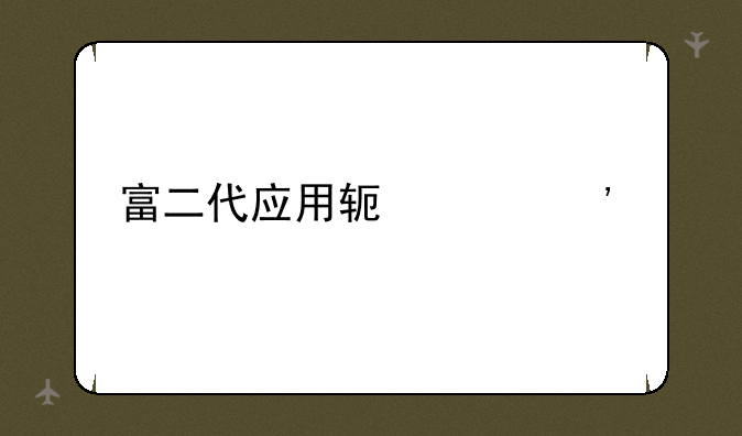 富二代应用软件安装