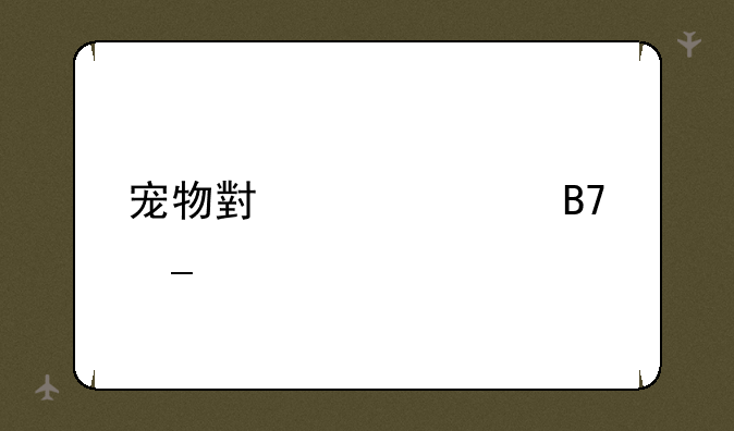 宠物小精灵名字粤语