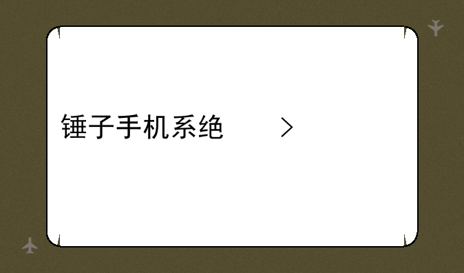 锤子手机系统叫什么