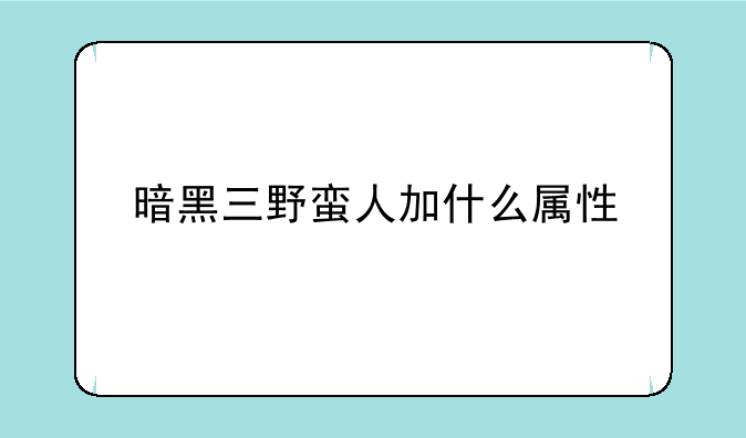 暗黑三野蛮人加什么属性