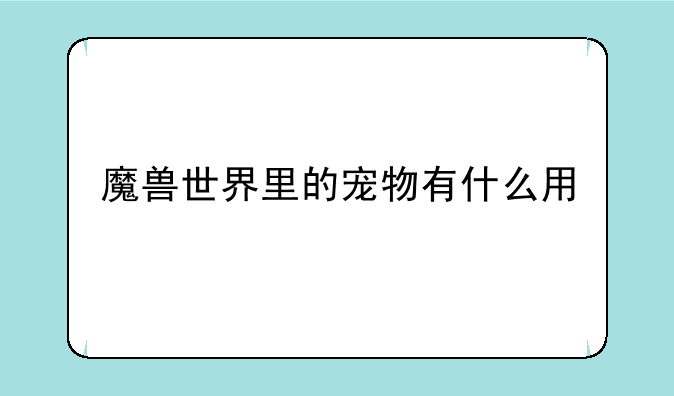 魔兽世界里的宠物有什么用