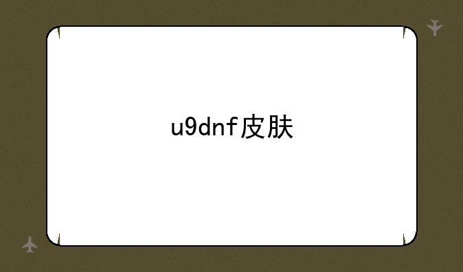 u9dnf皮肤