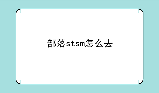 部落stsm怎么去