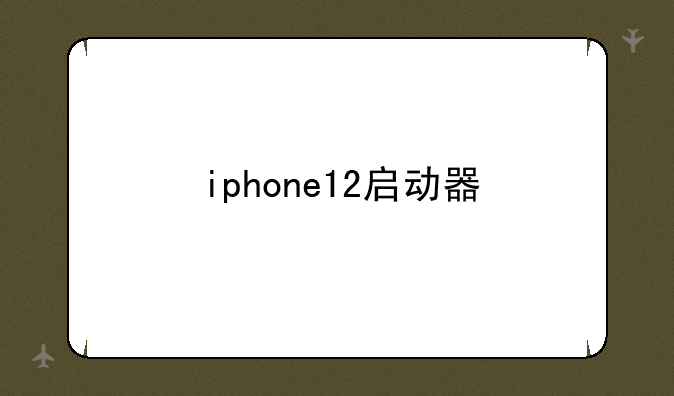 iphone12启动器